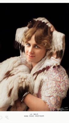 1907 La Milo Miss Pansy Montague 4 1907 La Milo Miss Pansy Montague 4